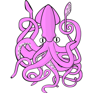 Squid PNG-47210